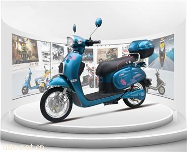  王派电动车英拉